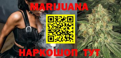 индика Кулебаки