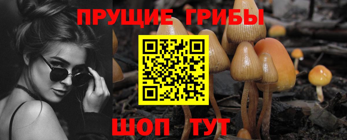 Галлюциногенные грибы прущие грибы Ирбит